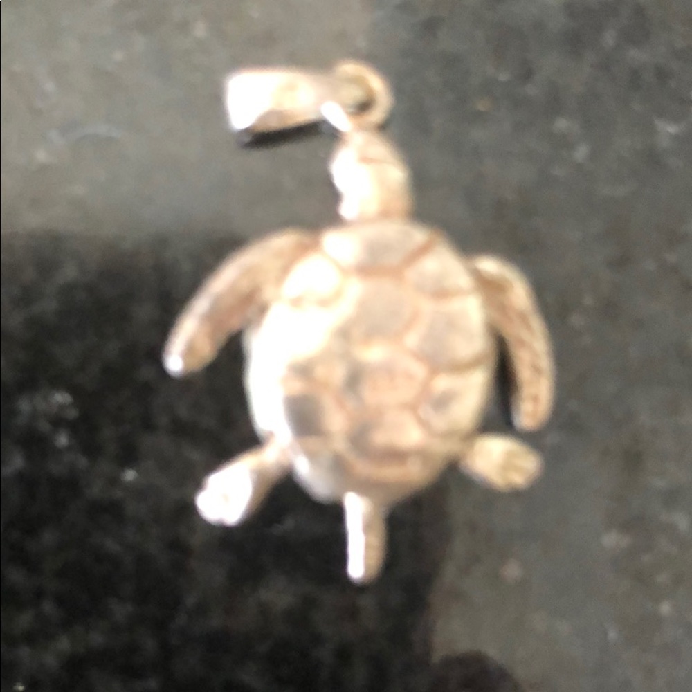 Sterling Silver Turtle Charm - Picture 3 of 3